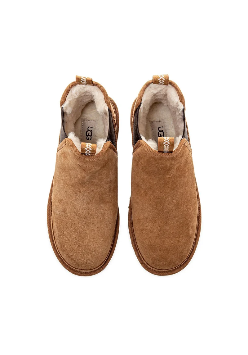 M Neumel Chelsea chestnut