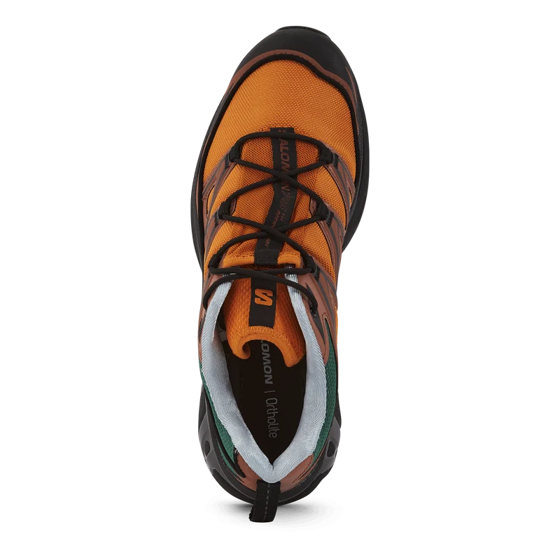 Xt-6 Expanse 75th Golden Oak/a