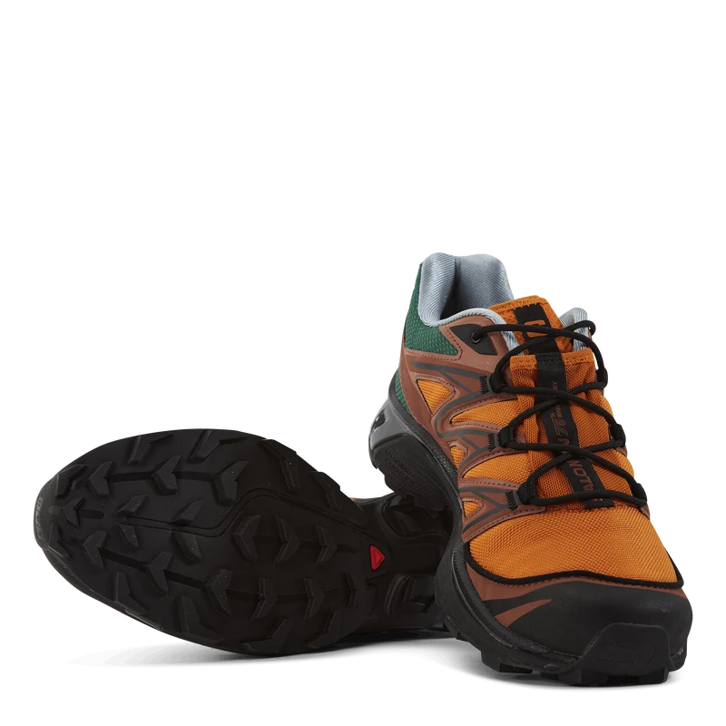 Xt-6 Expanse 75th Golden Oak/a