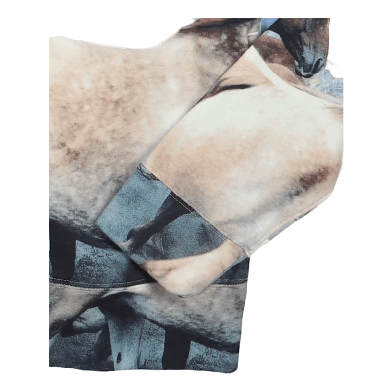 Polo Sport “Wild Horses” Hoodie Running Horses Print