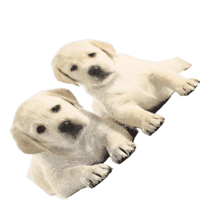 Puppies Tee Powder Blue