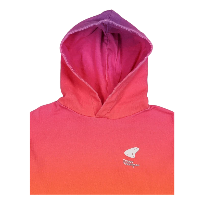 Hoodie Gradient Short 9
