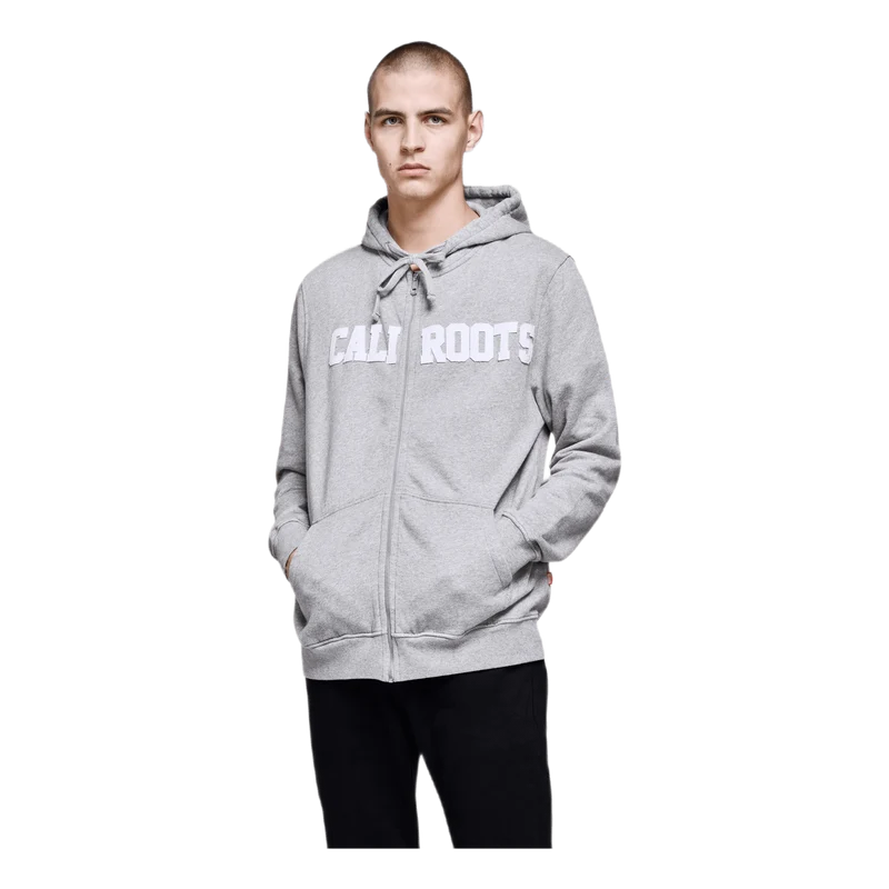 Felt Logo Zip Hoodie Gray
