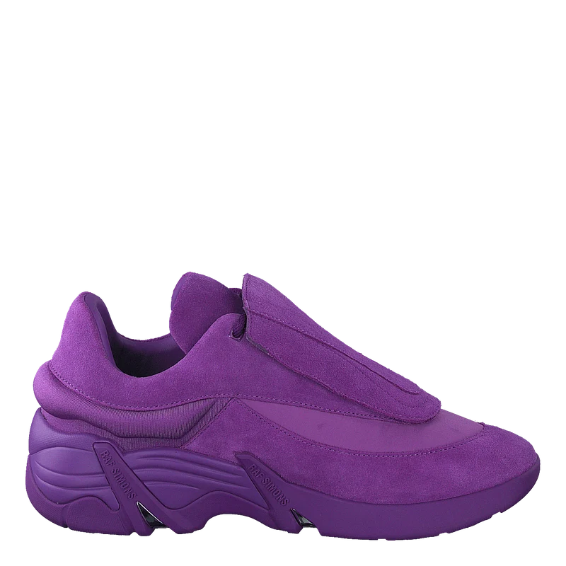 Antei Purple