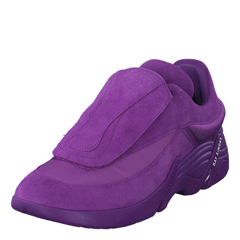 Antei Purple