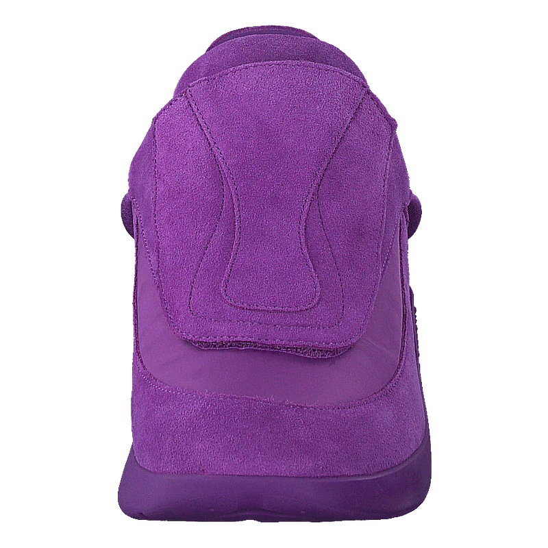 Antei Purple
