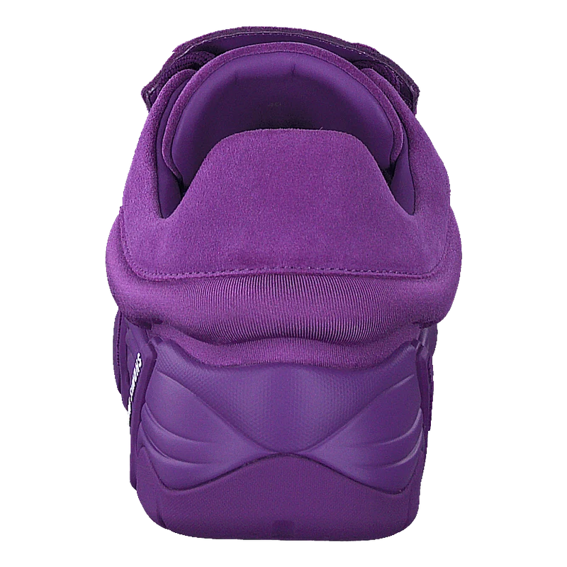 Antei Purple