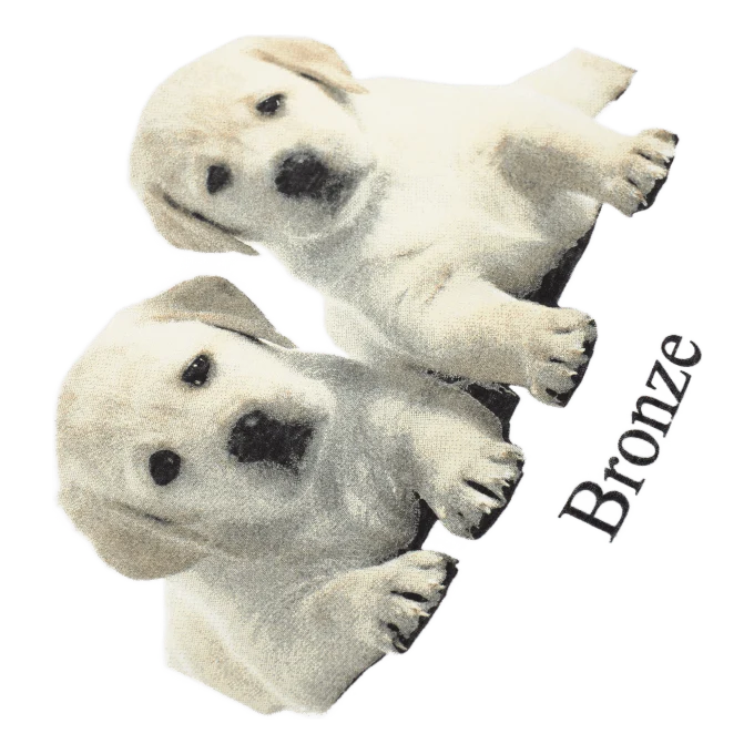 Puppies Tee White