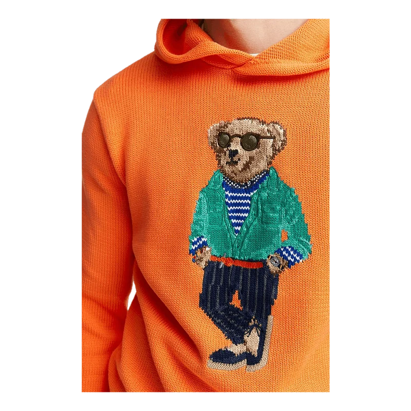 Polo Ralph Lauren Polo Bear Cotton Hooded Sweater