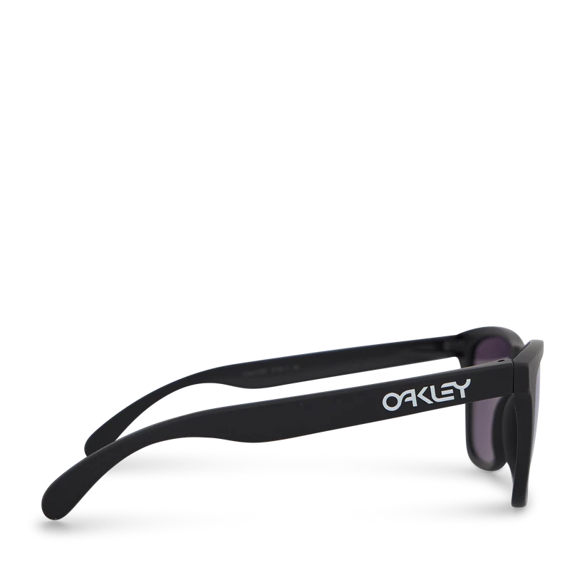 Frogskins Prizm Violet