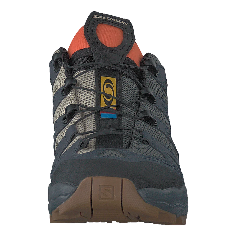 Shoes Xa Pro 1 Castor Gray/safari/red Orange