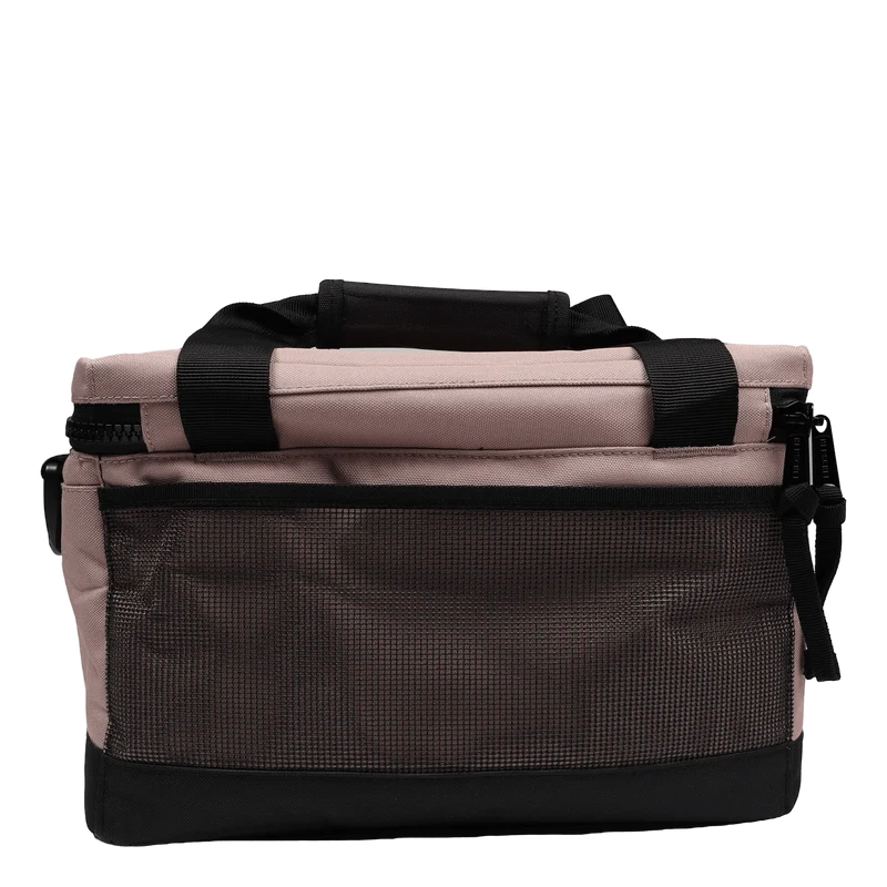 Pop Quiz Cooler 12 Pack Insulated Ash Rose