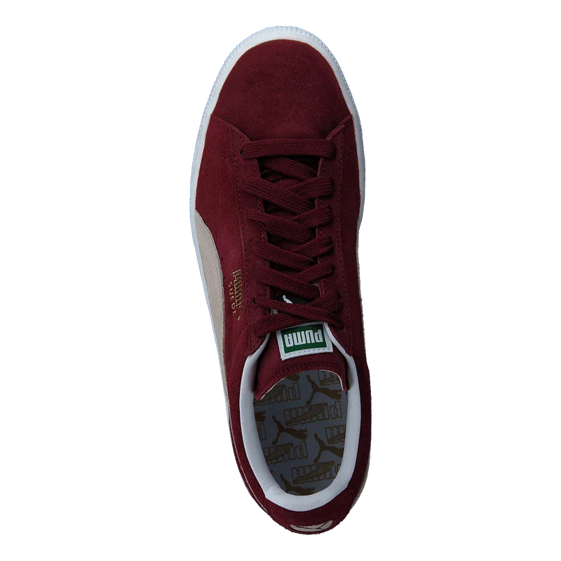 Suede Classic+ Cabernet-white