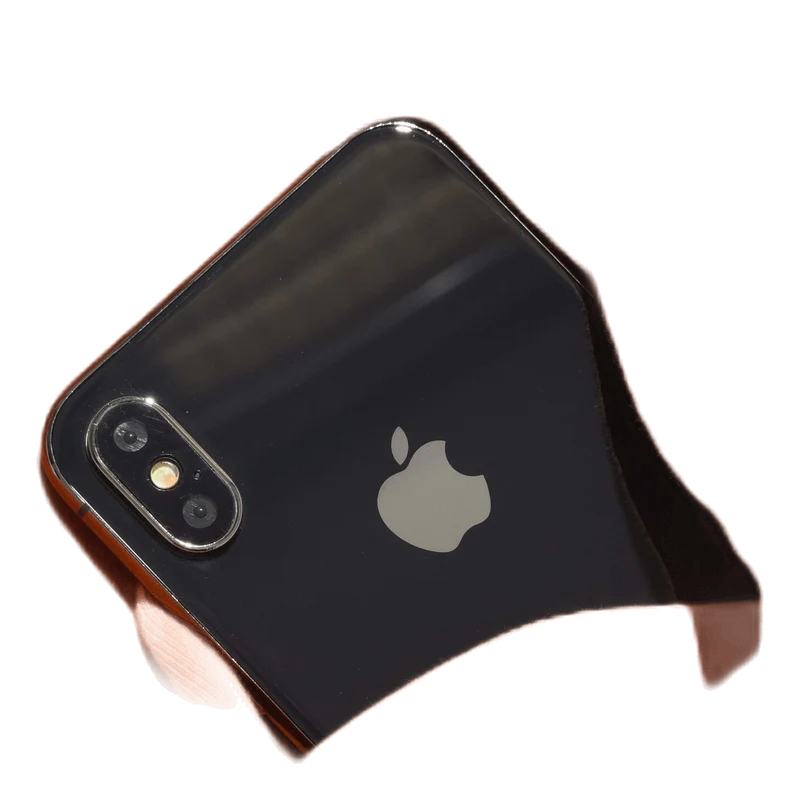 Palm Hoodie Orange