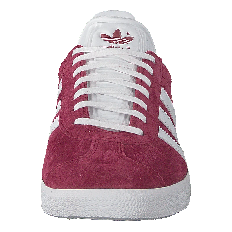 Gazelle Cburgu/ftwwht/goldmt