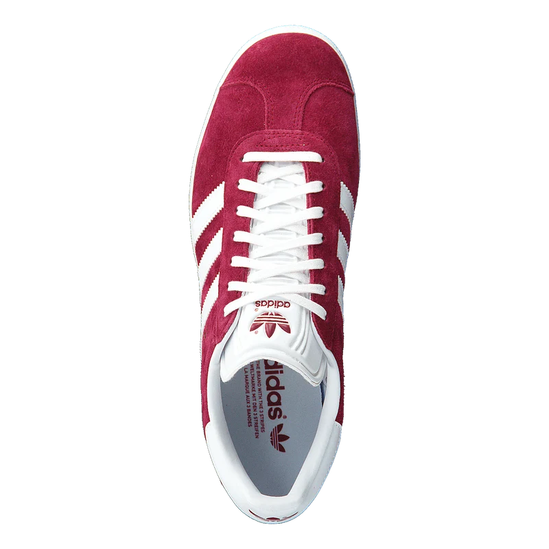 Gazelle Cburgu/ftwwht/goldmt