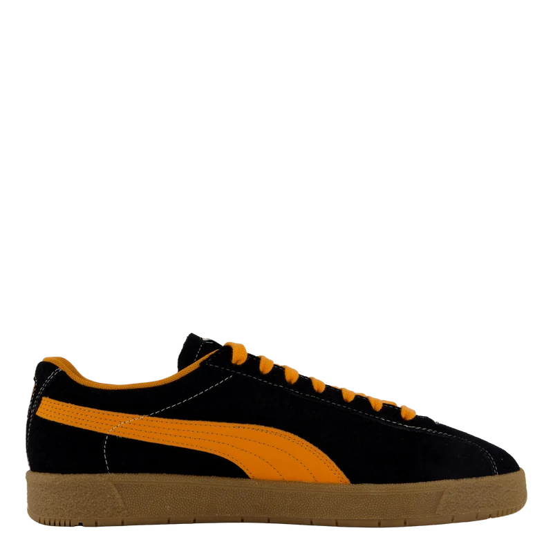 Delphin Black