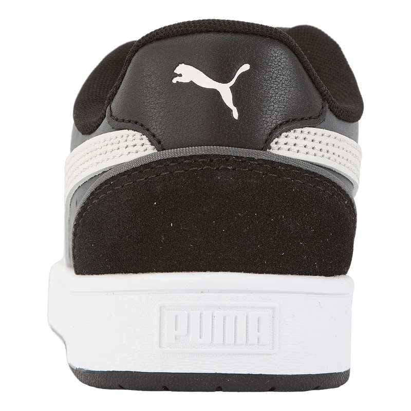 Court Guard Mix Dark Shadow-nimbus Cloud-puma