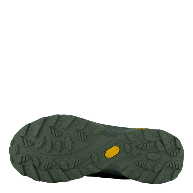 Moab Speed Gtx Se Lichen