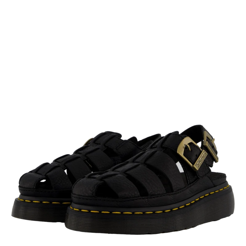 Wrenlie Black Grizzly