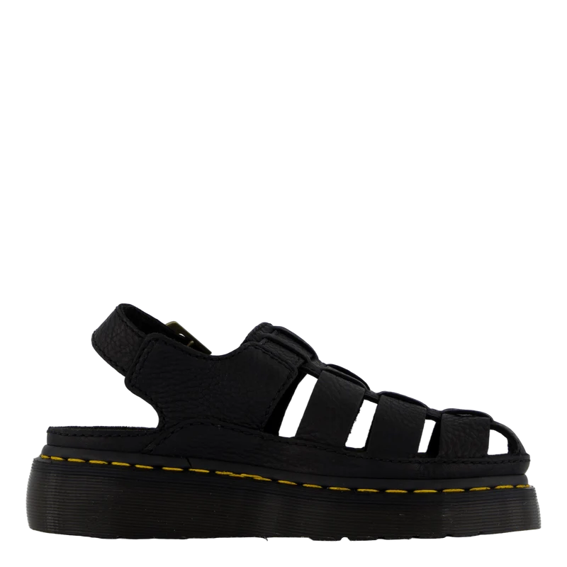 Wrenlie Black Grizzly