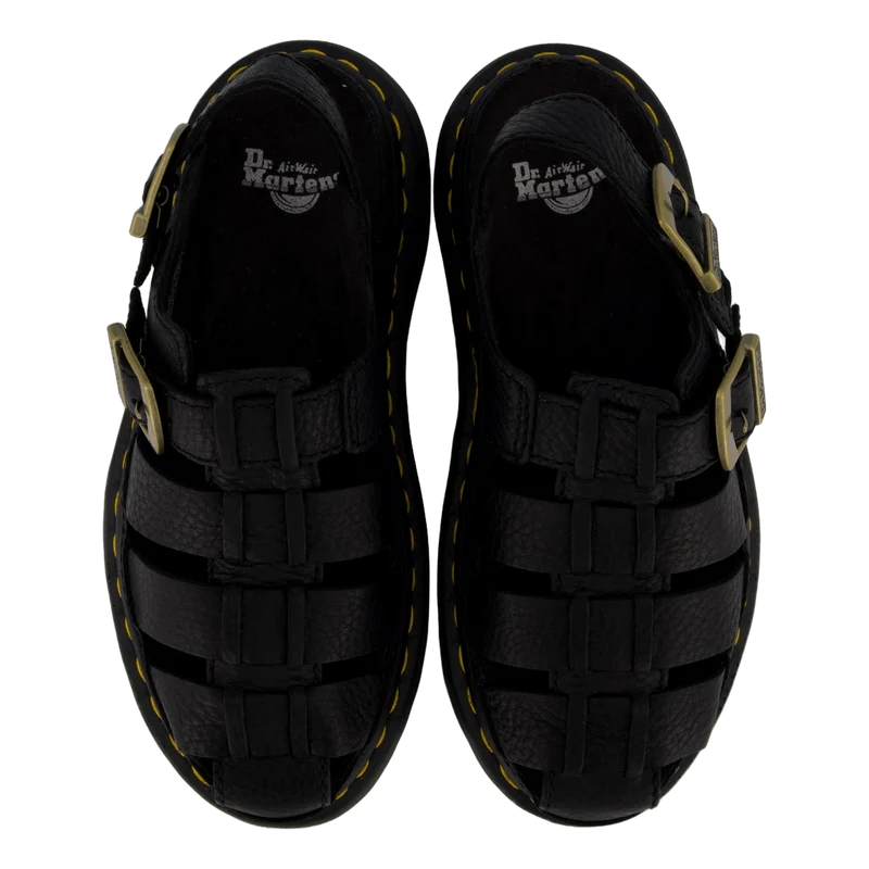 Wrenlie Black Grizzly