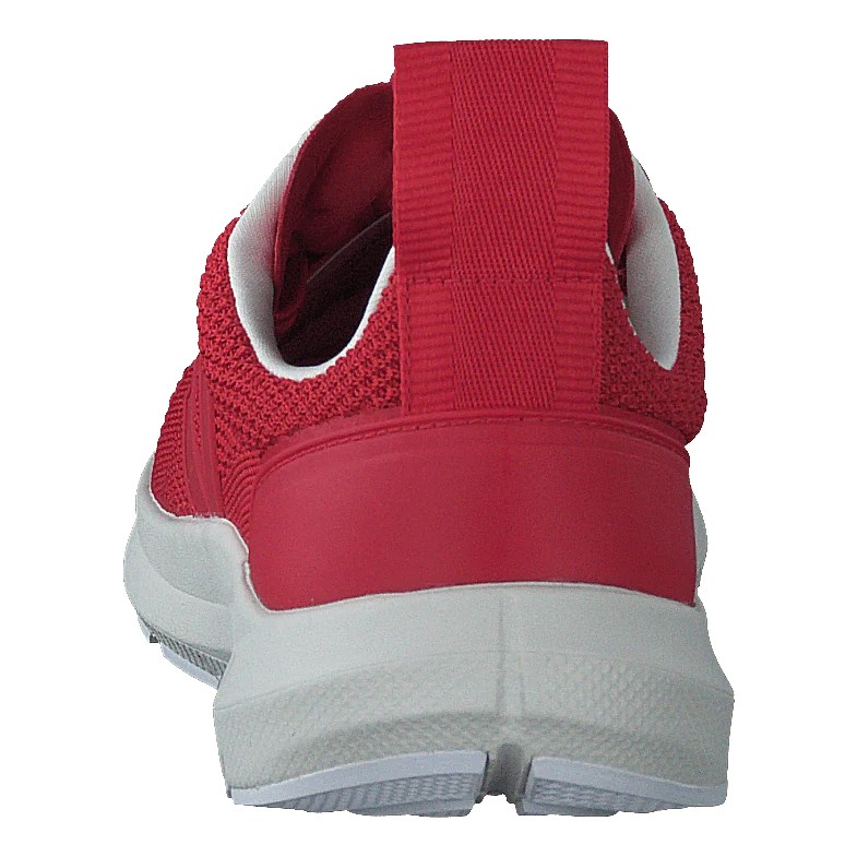 Performance Runner V-knit Rick Carnelian