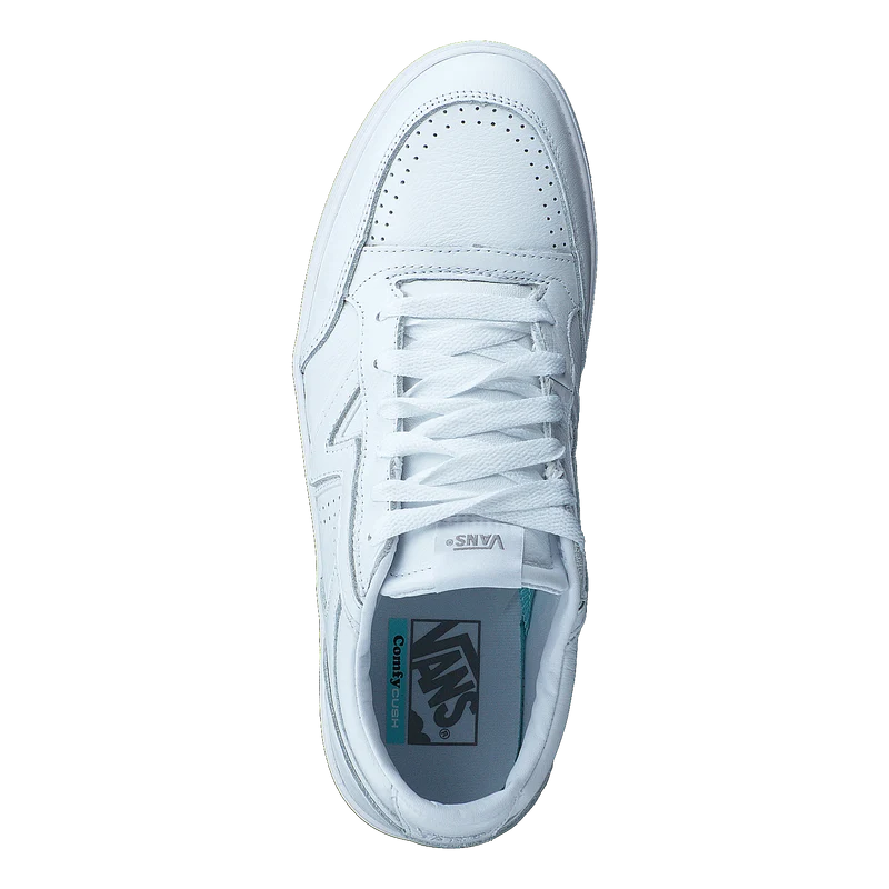 Vans Ua Lowland Cc (leather)
