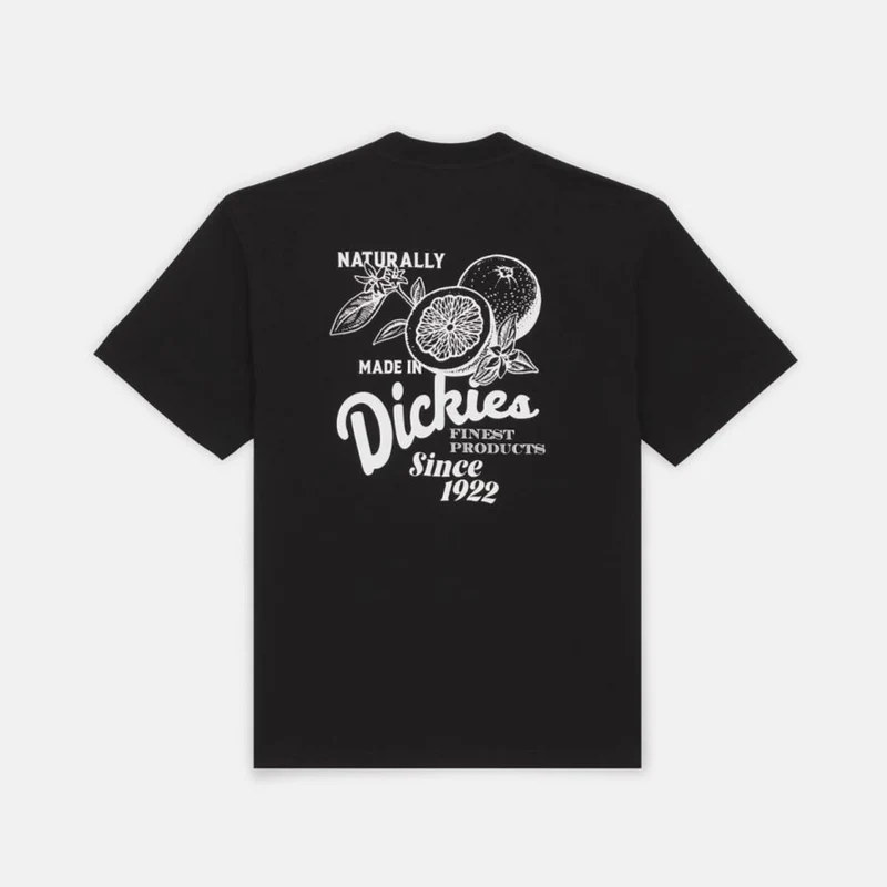 Raven Tee Ss Black
