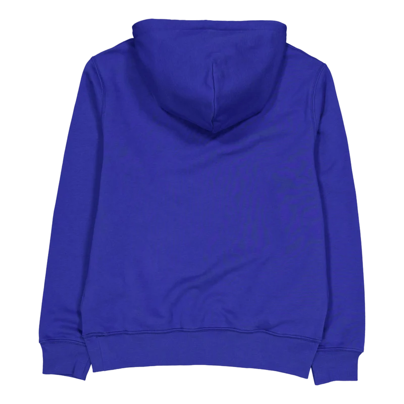 Polo Ralph Lauren Polo Bear Fleece Hoodie Sp24 Beach Royal Hrtg Bear