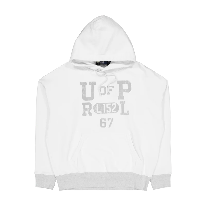 Fleece Graphic Hoodie Nevis / Light Sport Heather