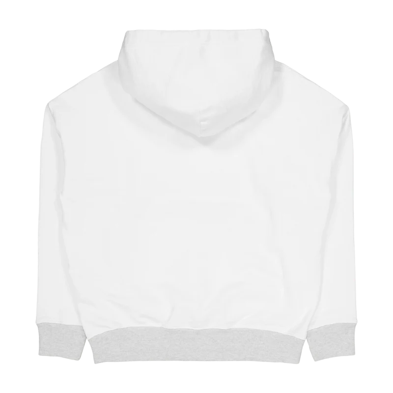 Fleece Graphic Hoodie Nevis / Light Sport Heather