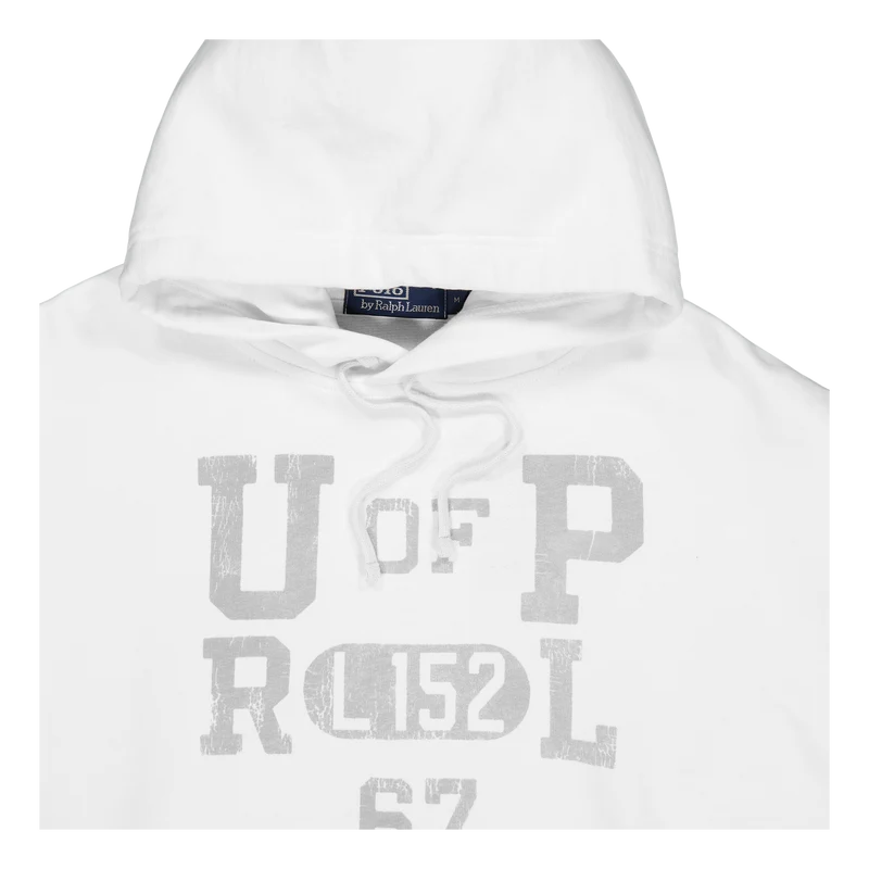 Fleece Graphic Hoodie Nevis / Light Sport Heather