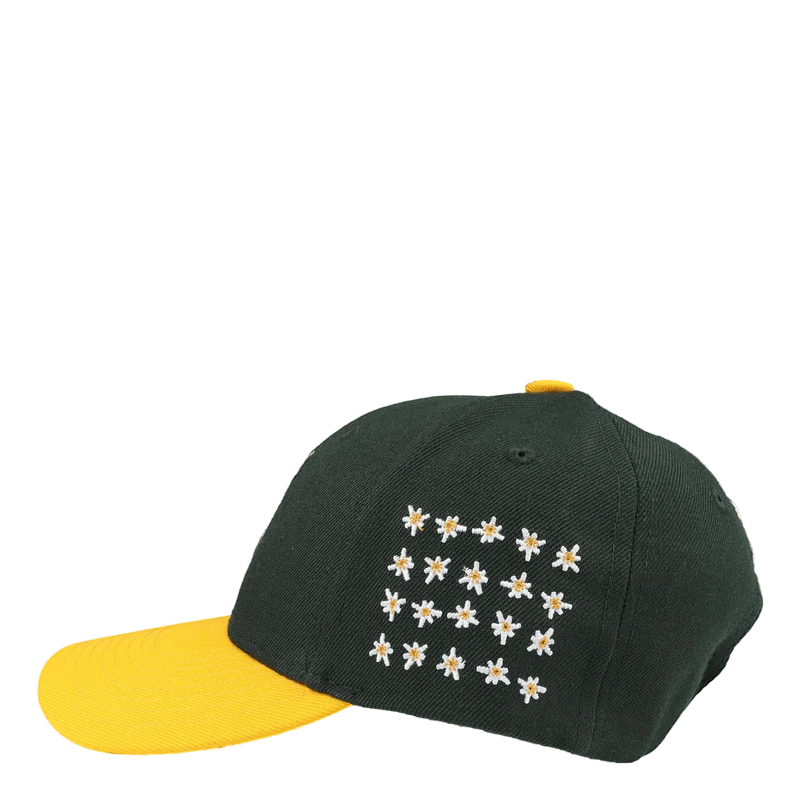 Anniversary 6 Panel Hat Green