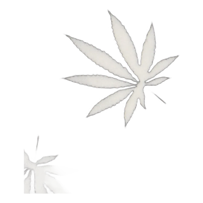 Huf Plantlife Nuggy Black
