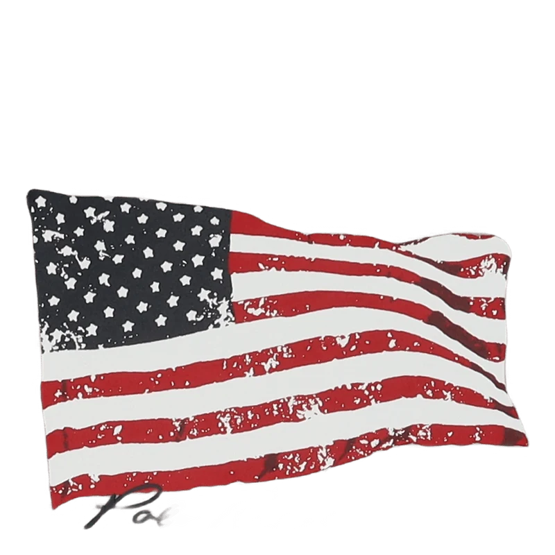 Classic Fit American Flag T-Shirt Andover Heather