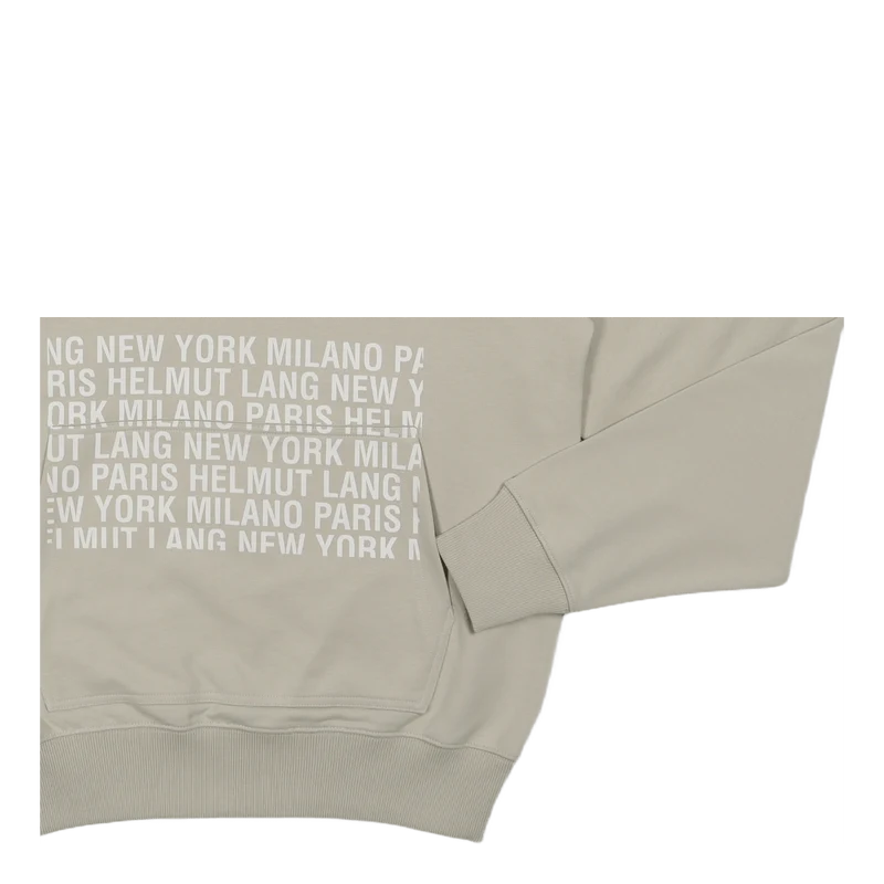 Box Logo Hoodie.box Mist