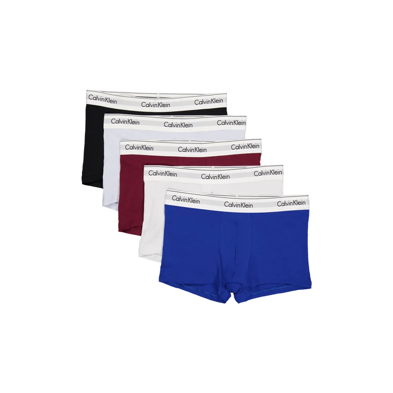 Modern Cs Holiday Trunk 5pk Multi
