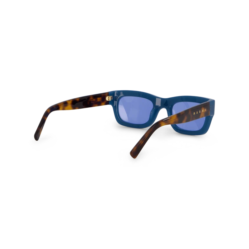 Kawasan Falls Blue Havana 52 Blue Havana