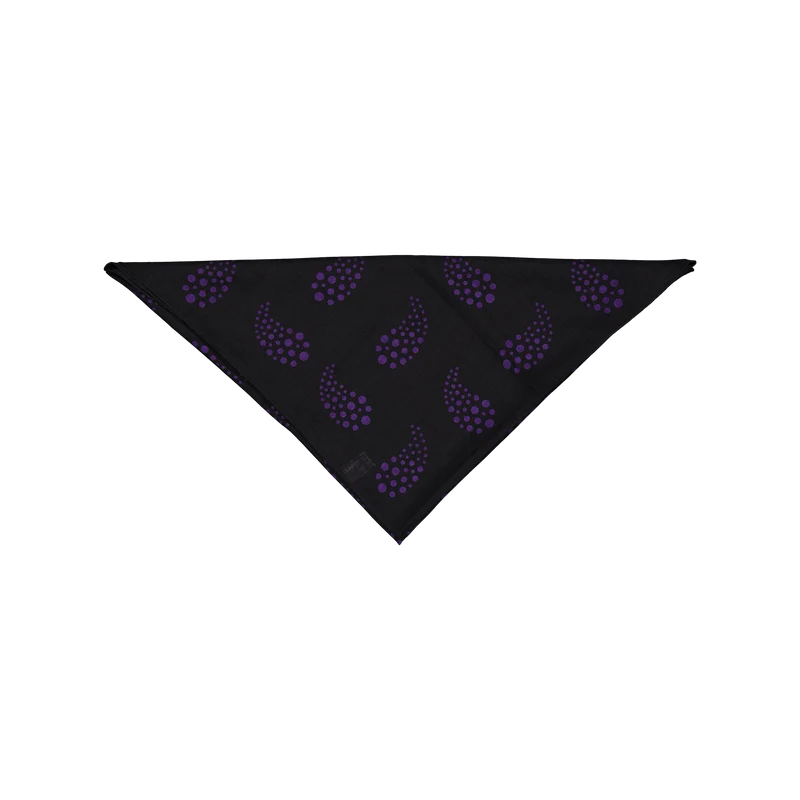 Scarf - W/s Twill / Paisley Pr C-black