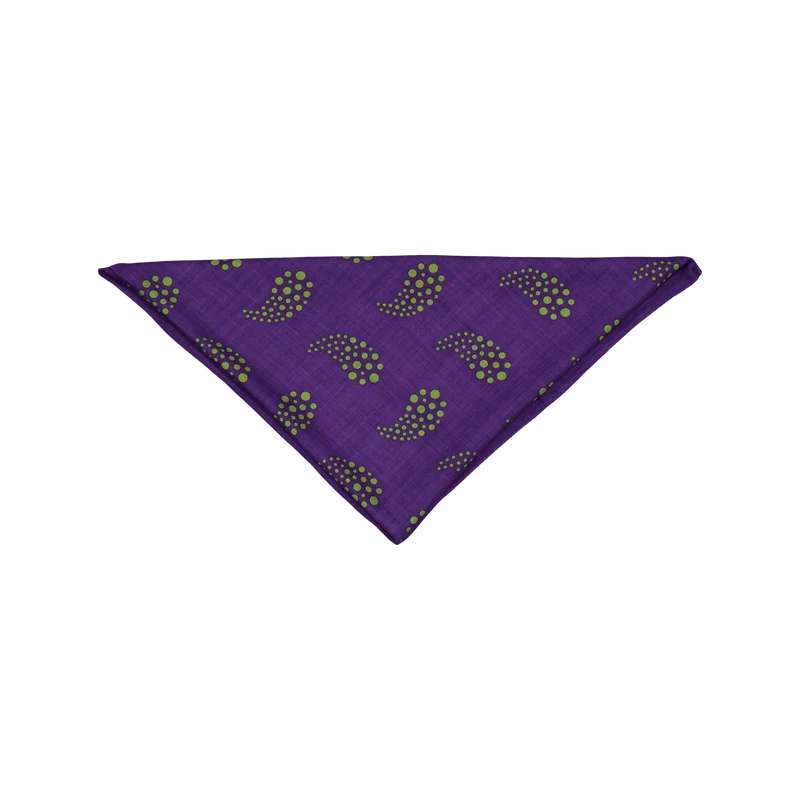 Scarf - W/s Twill / Paisley Pr A-purple