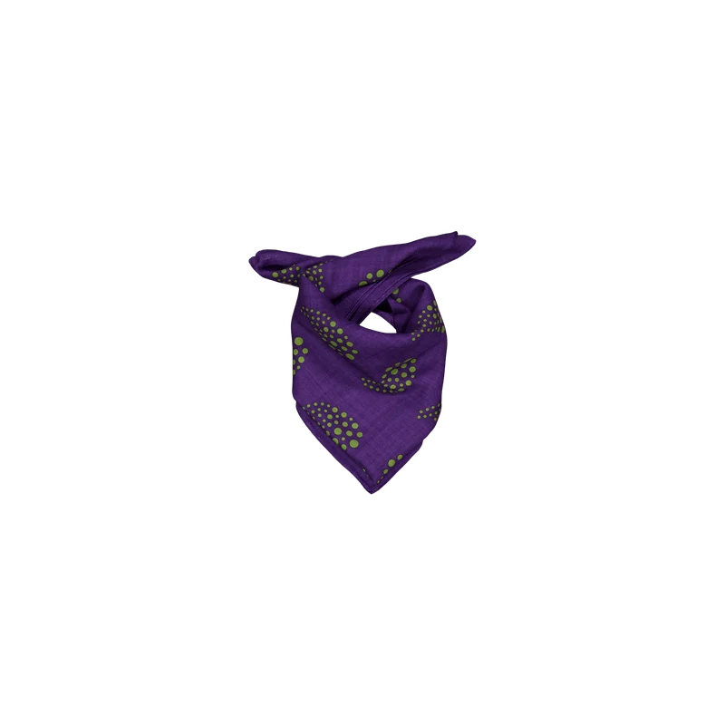 Scarf - W/s Twill / Paisley Pr A-purple