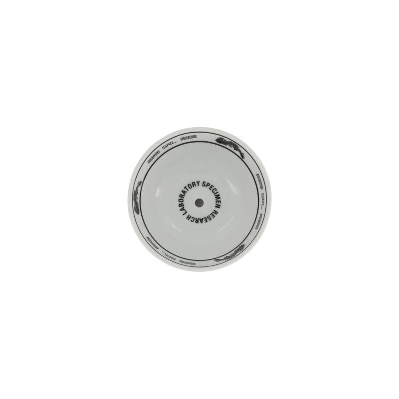 Srl . Small Bowl Plant Pot Gray