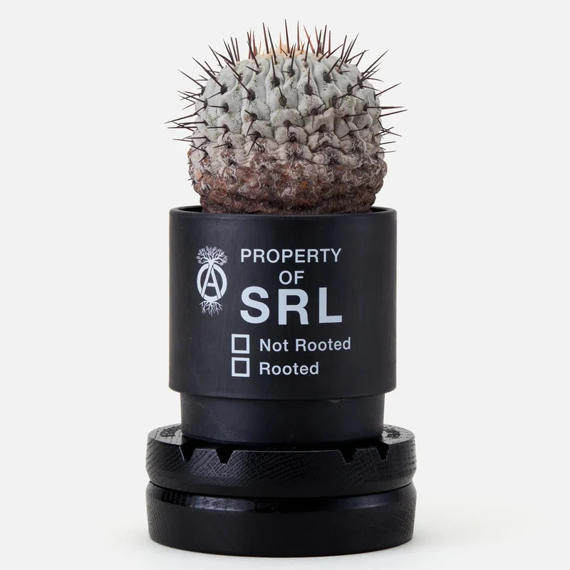 Nh X Lfe . Rotary Woodstand Black