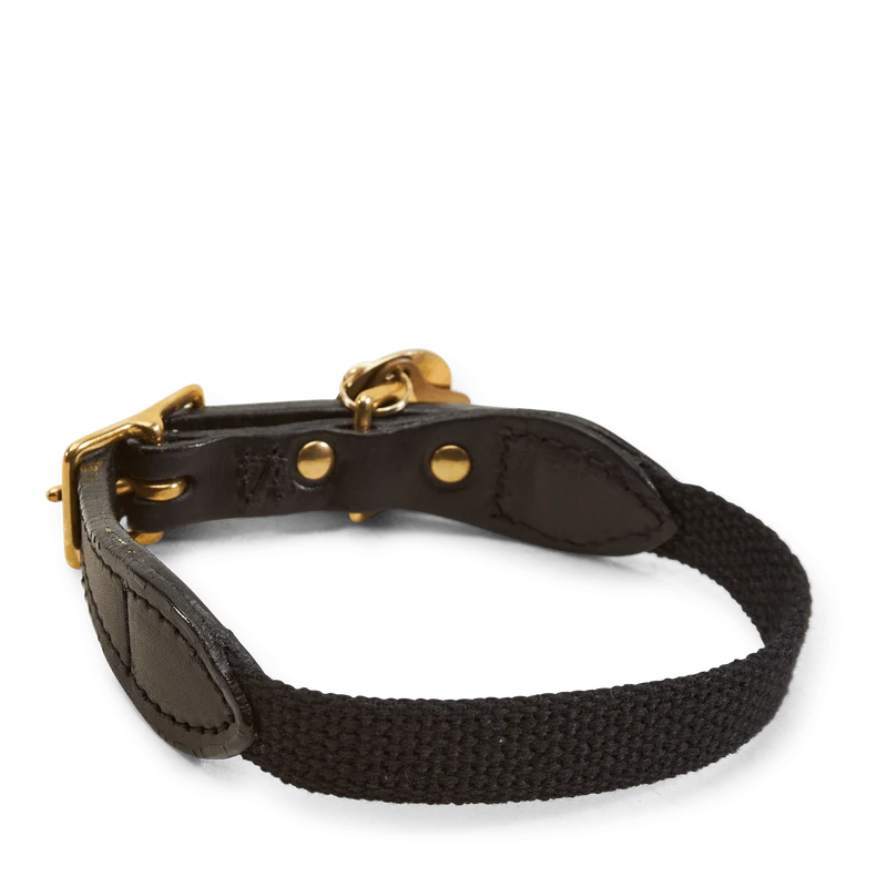 Found My Animal / Cl-collar Black