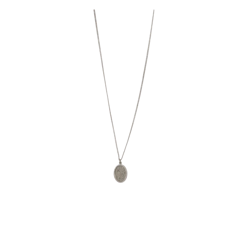 Chain Necklace With Fly Paved Silver