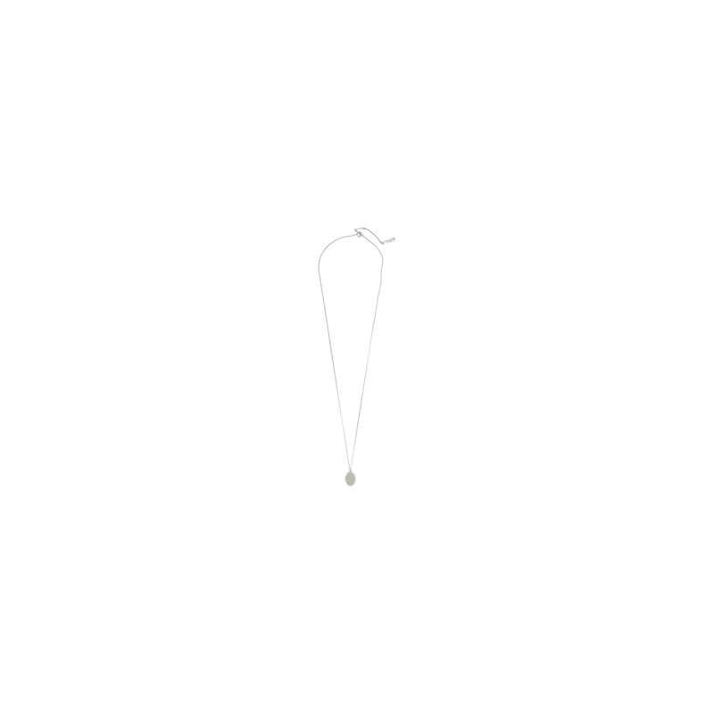 Chain Necklace With Fly Paved Silver