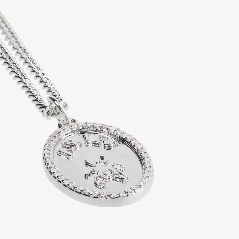 Chain Necklace With Fly Paved Silver