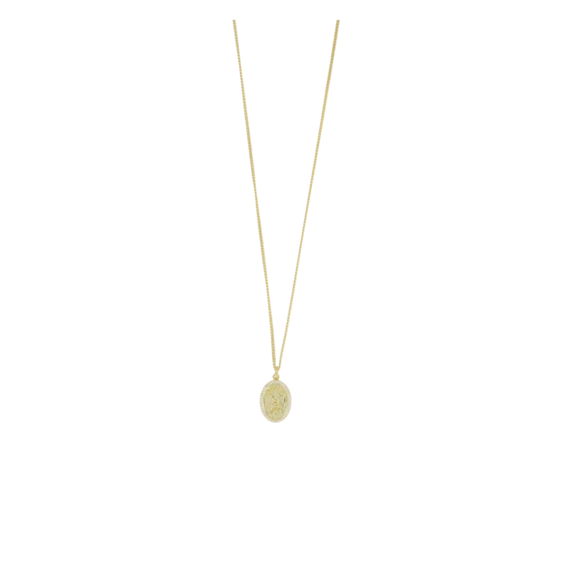 Chain Necklace With Fly Paved Gold