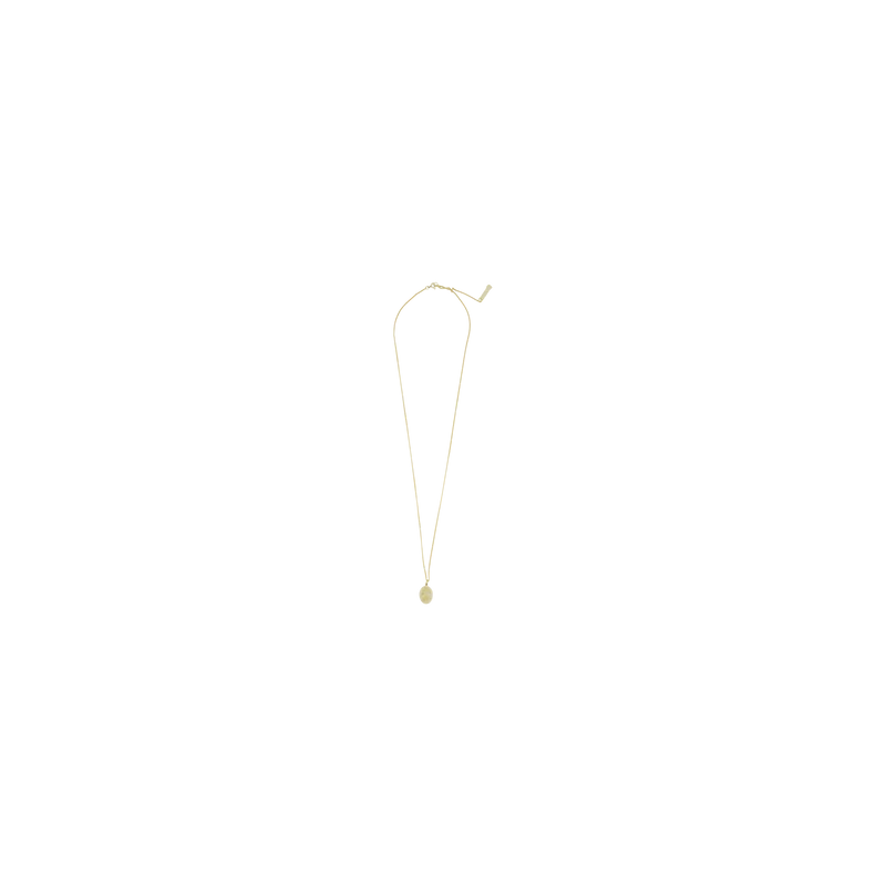 Chain Necklace With Fly Paved Gold